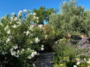 B&B / Chambres d'hotes Mas des Olives : photos des chambres