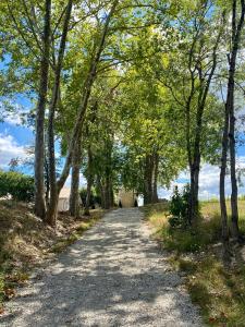 Maisons de vacances La Maison L'Eperon, stylish 5 star villa surrounded by vineyard near Saint Emilion : photos des chambres