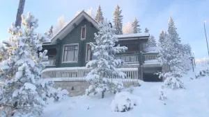 Tahkonhovi Golden Chalet - Ruokonen