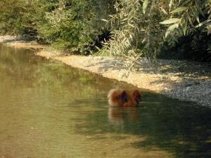 Pension Ferienwohnung Pirhofer