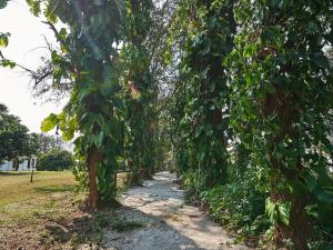 The Sunbird Guesthouse