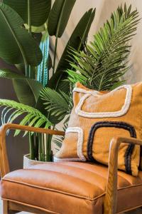 Your Apartment I Arabica House