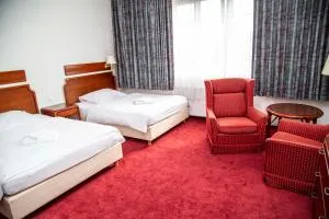 S杰钦中央酒店 - Tichlowitz