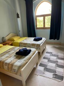 El Gouna, Red Sea, Egypt, West Golf 2 Bedroom Flat