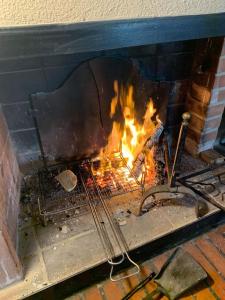 Il Libro- Family Holiday in Tuscany