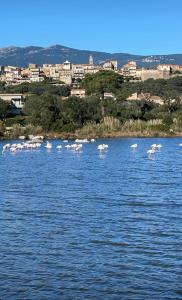 Luxe et Confort à Porto-Vecchio