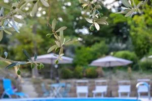 Agriturismo L'Arte del Verde - Monte Campano