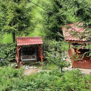 KALMul naturii, iureșul pădurii - 沙安