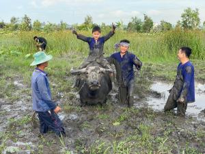Việt Mekong Farmstay