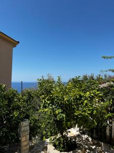 Emilios Traditional Villa