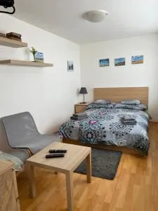 Celý dům v historickém centru Loun - Orasice