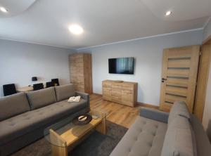 Apartament Magnat