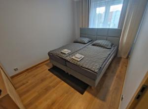 Apartament Magnat