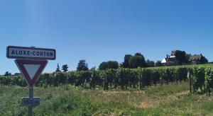 Appartements Appt proche des vignes : photos des chambres