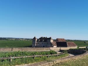 Appartements Appt proche des vignes : photos des chambres