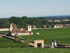 Appartements Appt proche des vignes : photos des chambres