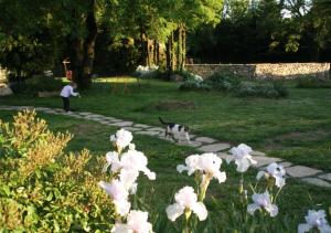 Maisons d'hotes Mas des Clauzals : photos des chambres