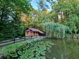 Cottage by the pond Pavel