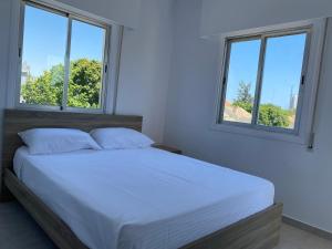 1-bedroom apartment with view