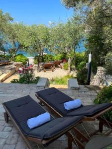 Apartman Roza 