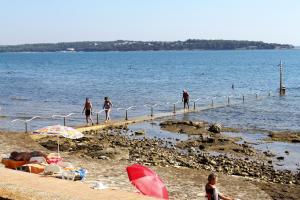 Apartment Novigrad 6979b