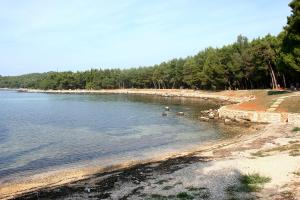 Apartments with a parking space Rovinj - 7113 