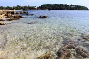 Apartments with a parking space Rovinj - 3393