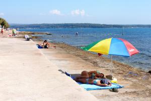 Apartments by the sea Novigrad - 7335