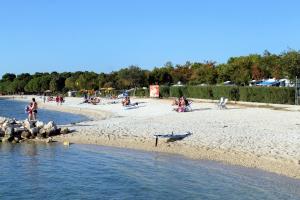 Family friendly apartments with a swimming pool Valbandon, Fazana - 7346