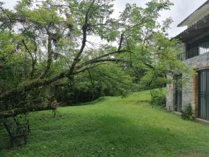Casa Camino a las Pozas