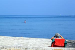 Apartments with a swimming pool Umag - 3358