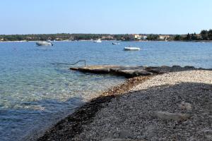 Apartments by the sea Dajla, Novigrad - 3382 