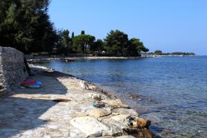 Apartments by the sea Dajla, Novigrad - 3382