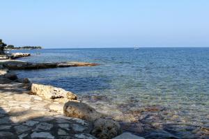 Apartments by the sea Dajla, Novigrad - 3376