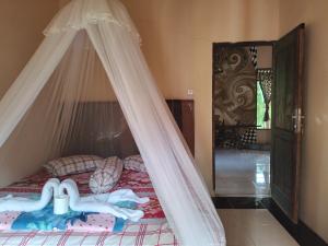 Sumatra Cheeky Monkeys