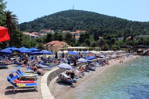 Apartments with a parking space Dubrovnik - 8593