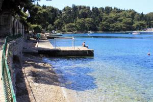 Apartments by the sea Cavtat, Dubrovnik - 8826 