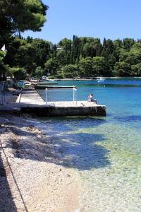 Apartments by the sea Cavtat, Dubrovnik - 8826