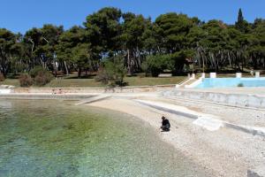 Apartments with a swimming pool Pula - 13020 
