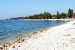 Family friendly apartments with a swimming pool Vodnjan, Fazana - 14159 