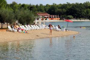 Family-friendly apartments with swimming pool Fratrici, Umag - 14384