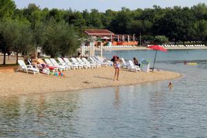 Family friendly apartments with a swimming pool Fratrici, Umag - 14384