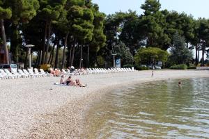 Family friendly apartments with a swimming pool Fratrici, Umag - 14384