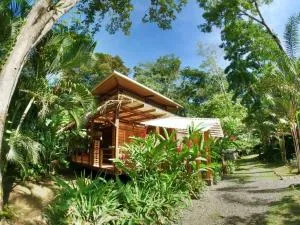 Cabina Harlequin at Margarita Hills - Nievecito