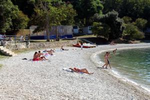 Family friendly apartments with a swimming pool Pula - 15306 