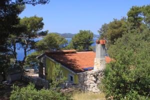 Secluded fishermans cottage Lavdara, Dugi otok - 396