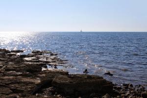 Apartments by the sea Sveti Ivan, Umag - 9692 