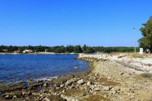 Apartments by the sea Sveti Ivan, Umag - 9692 