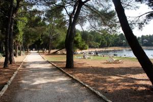 Apartments with a parking space Rovinj - 16246 
