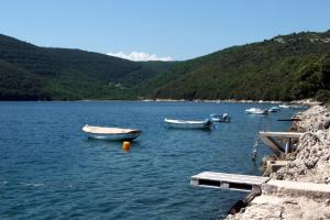 Apartments by the sea Duga Luka - Prtlog, Labin - 2367